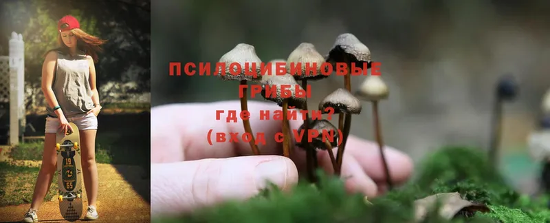 Галлюциногенные грибы MAGIC MUSHROOMS  omg рабочий сайт  Бугуруслан 